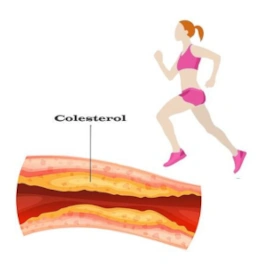 Imagem Ilustrativa de Colesterol